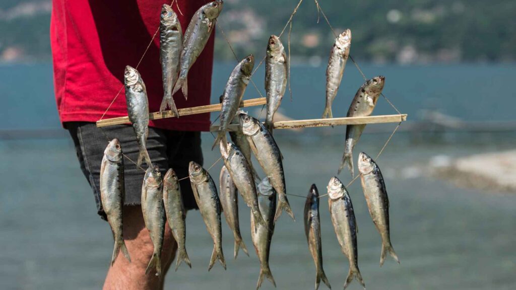 I pescatori di oggi – Ferdinando M.